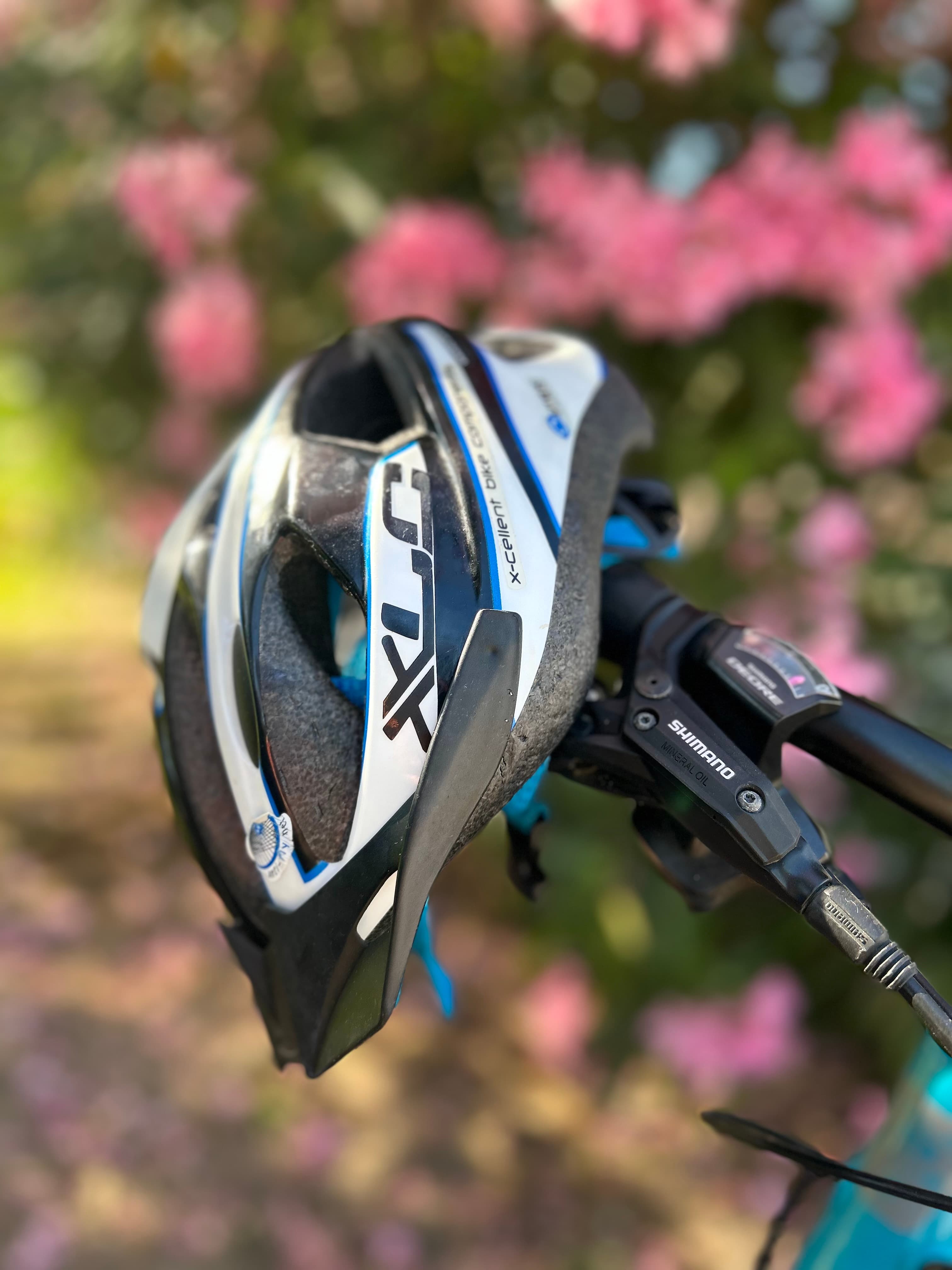 Bike Helmet
