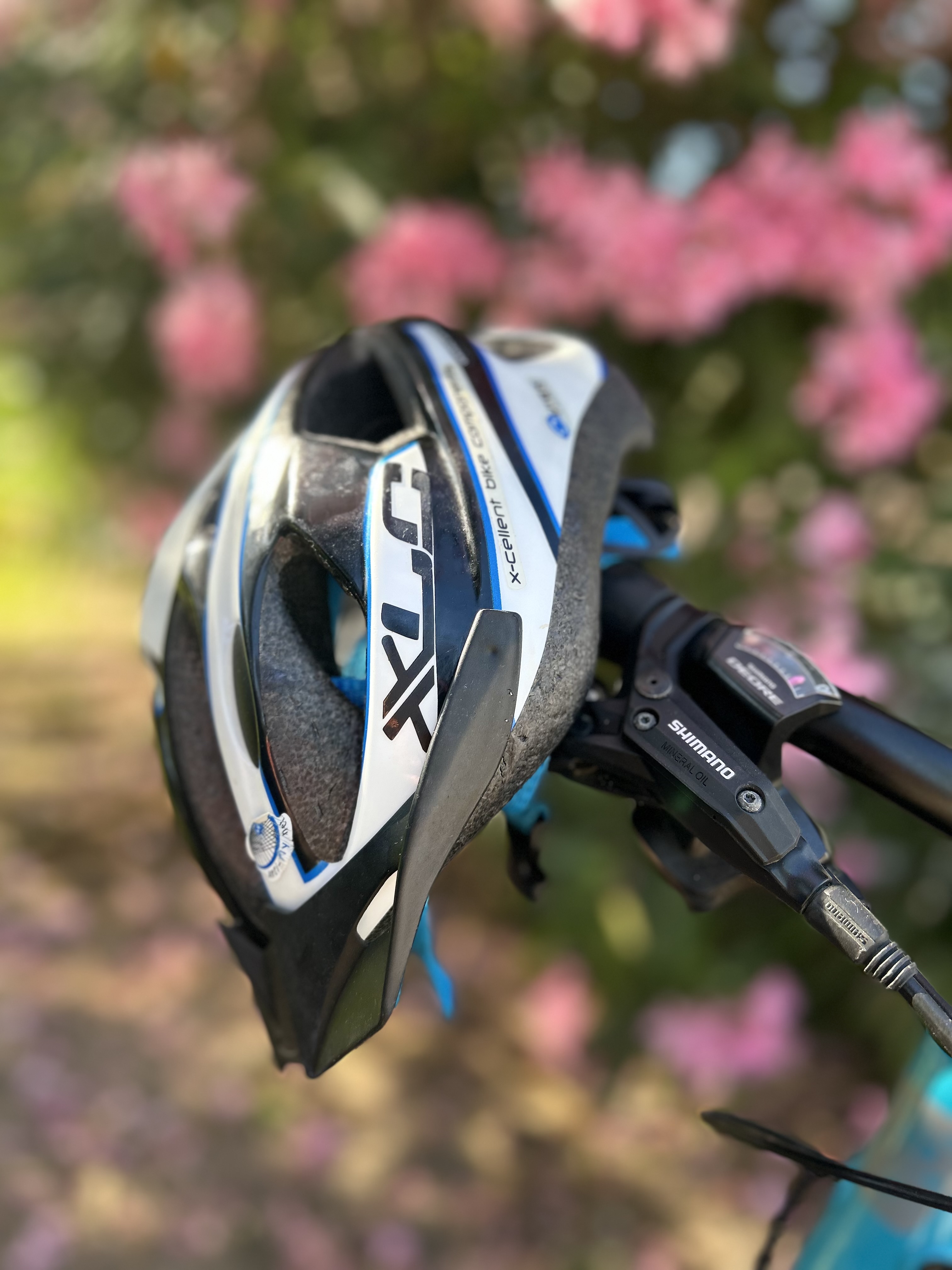 Bike Helmet